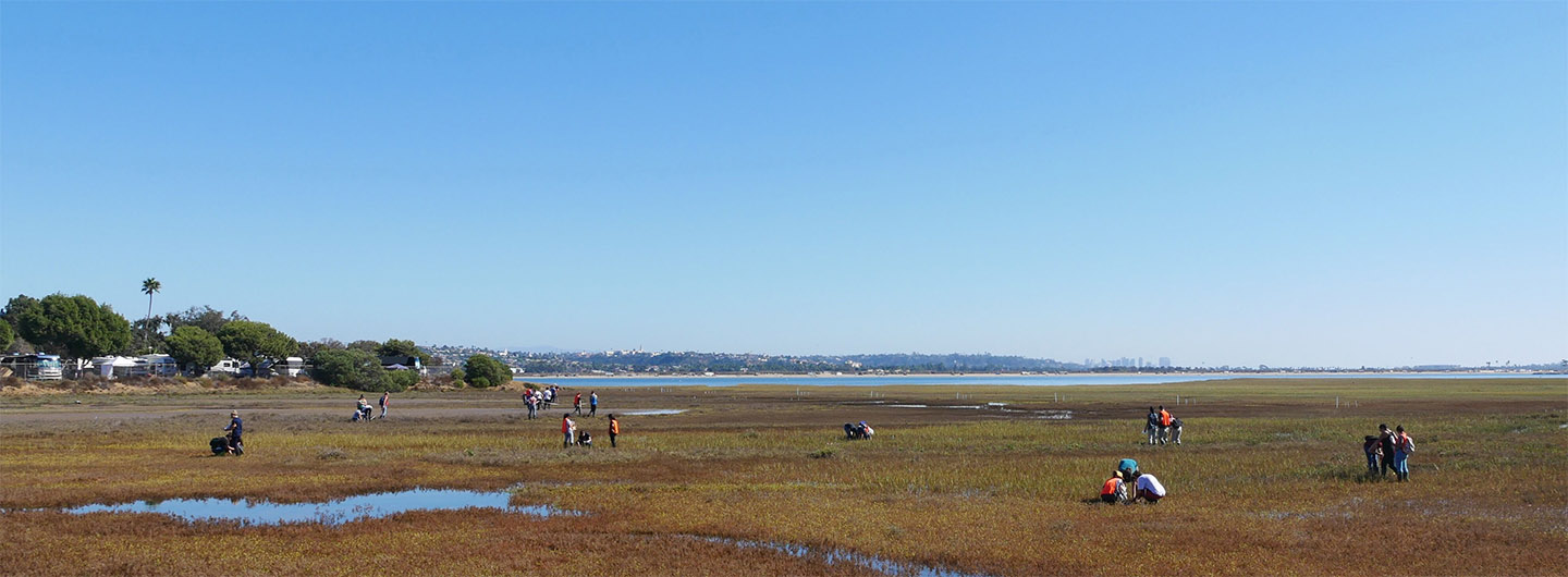 People working at the Kendall Frost reserve