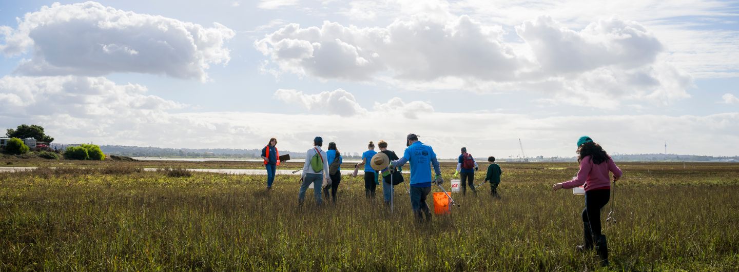 People walking in the marsh