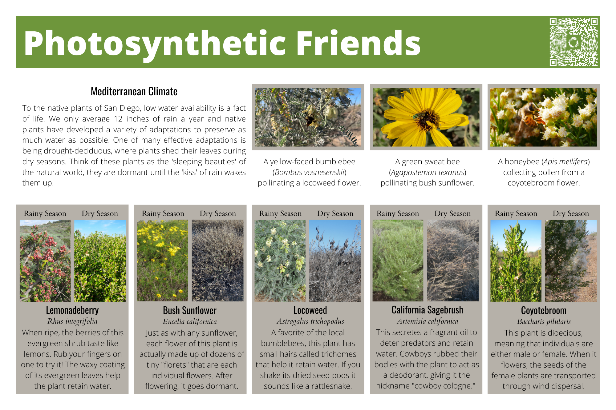 Photosynthetic Friends Trail Sign