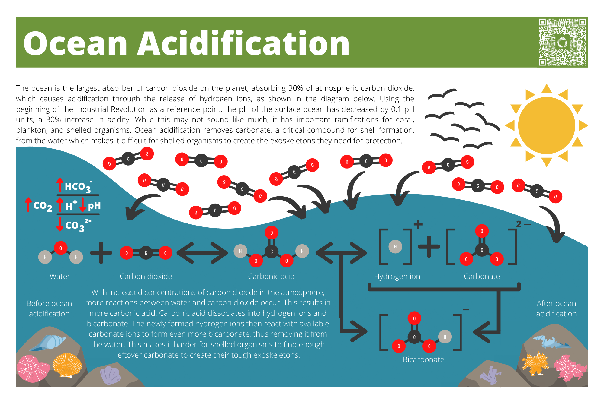 TrailSignOceanAcid